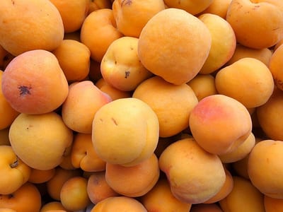 カリフォルニアのあんず(アプリコット)
