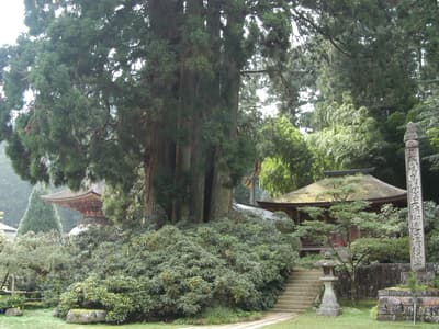 金剛三昧院